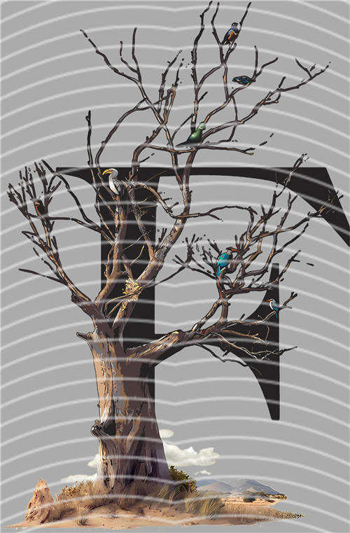 latest edition-KNY 1163